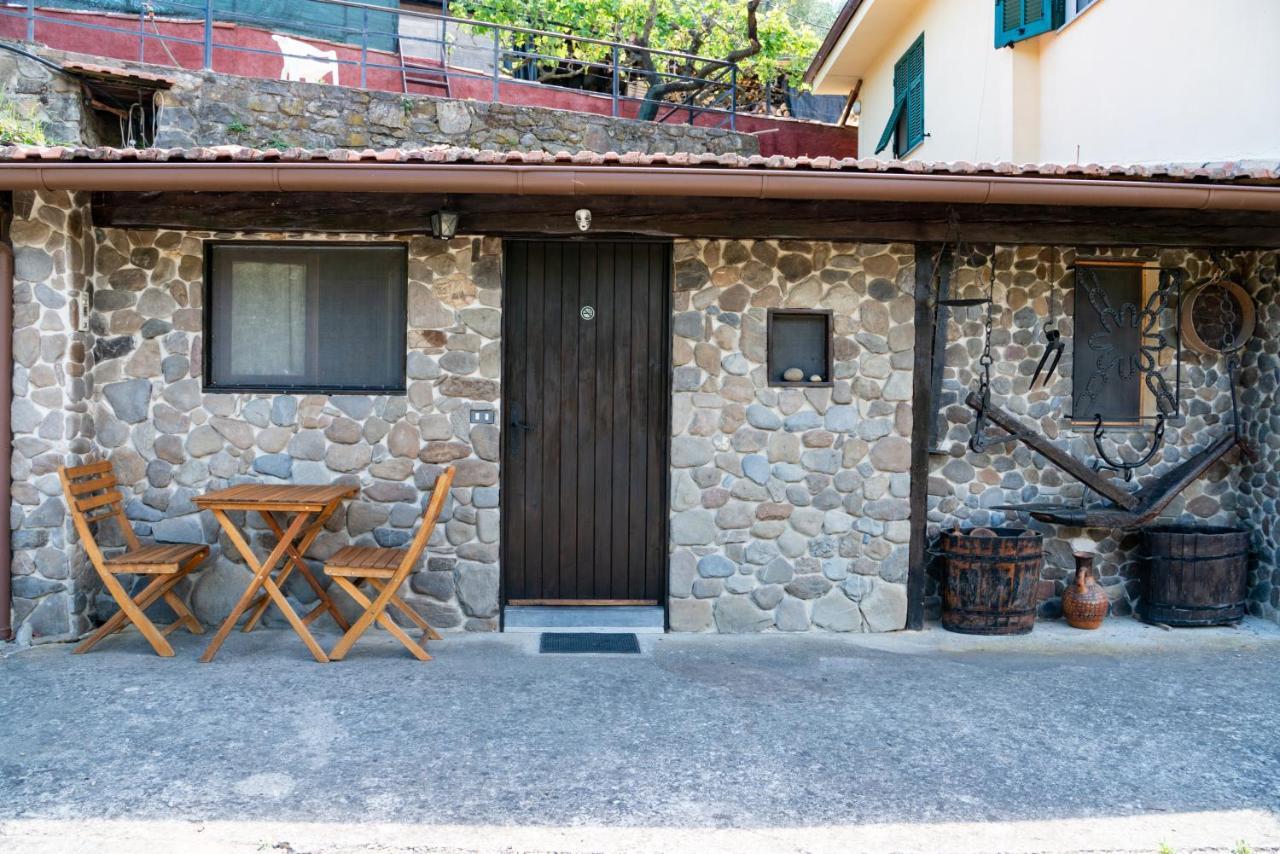 Antica Macina - “la Taverna”